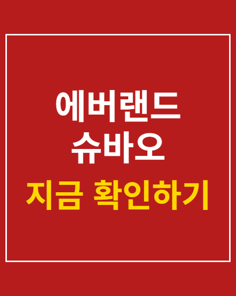에버랜드 슈바오