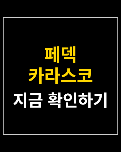 페덱 카라스코 맞대결