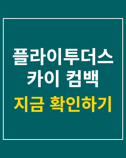 플라이투더스카이 컴백