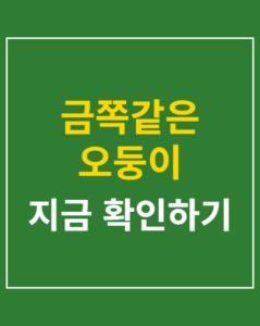 geumjjok 5 odungi korea01 thumbnail
