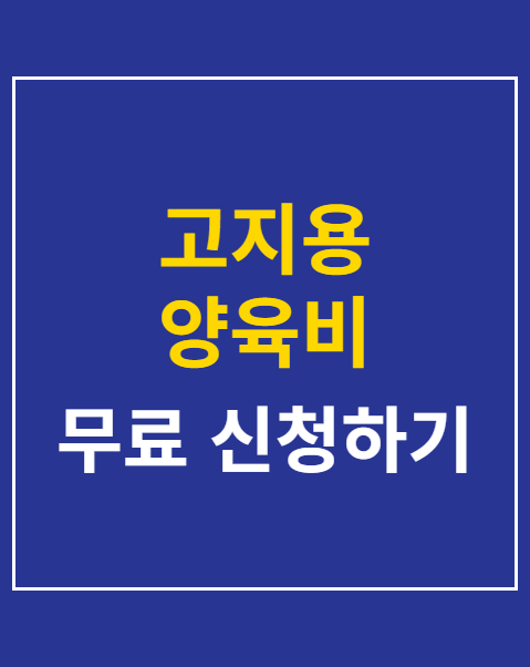 고지용 양육비 미지급