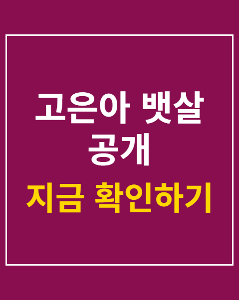 고은아 뱃살 공개