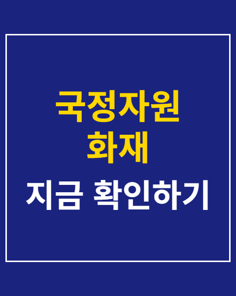 국정자원 화재