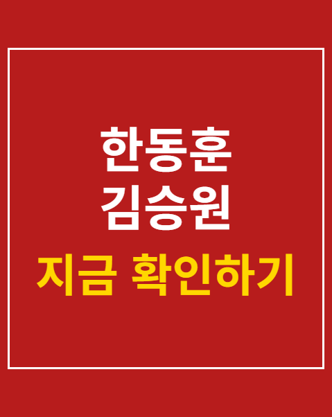 한동훈 김승원 녹취록 공개