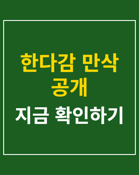 한다감 만삭 공개