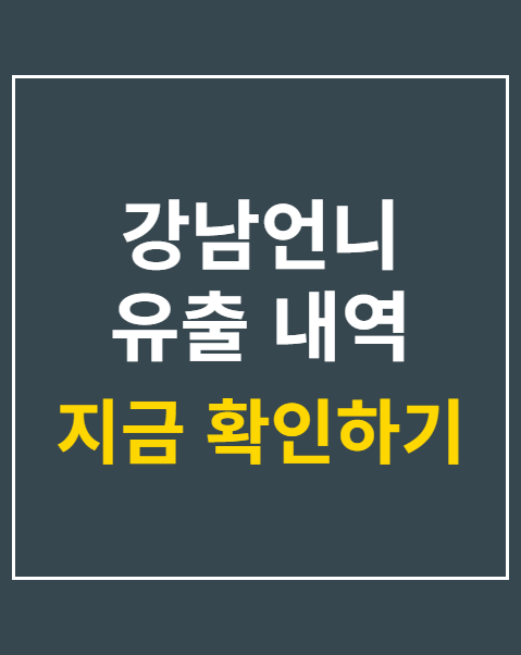 강남언니 유출 내역 조회