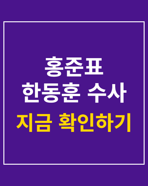홍준표 한동훈 수사