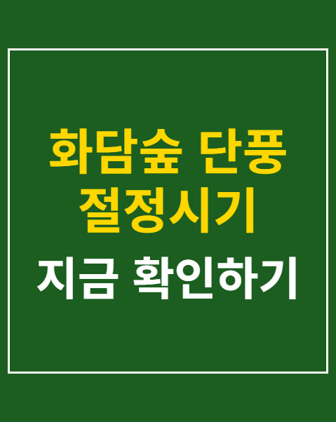 화담숲 단풍 절정시기