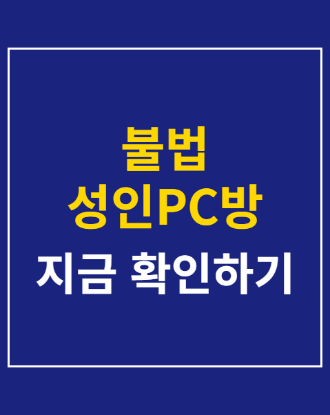불법 성인PC방 단속