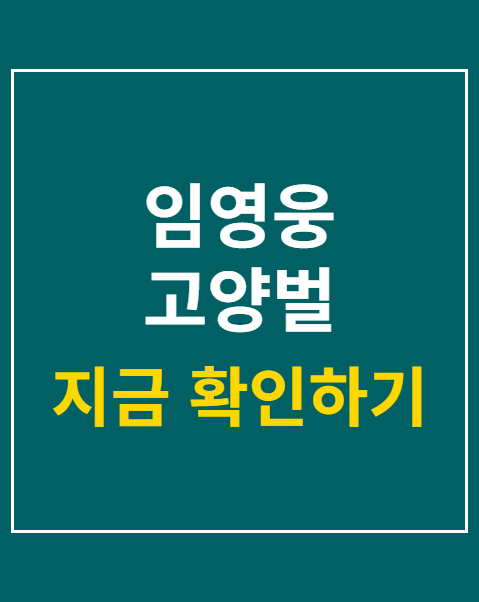 임영웅 고양벌 하늘빛 축제