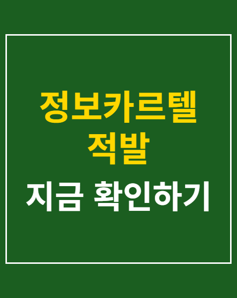 정보카르텔 적발