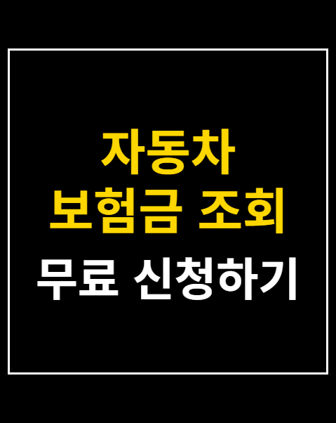자동차 보험금 조회