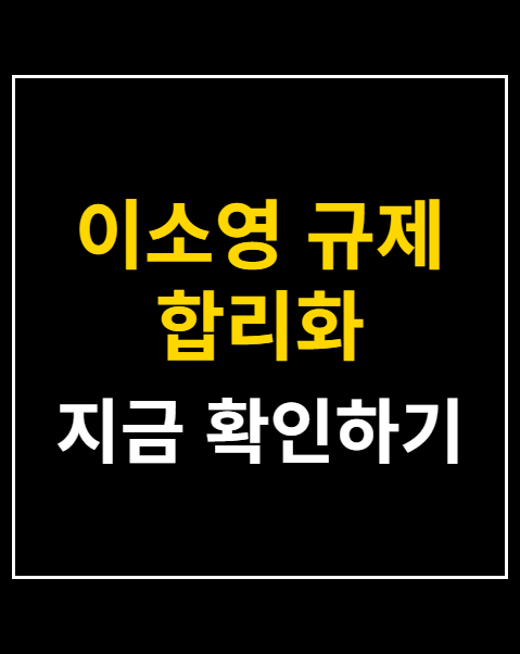 이소영 규제 합리화