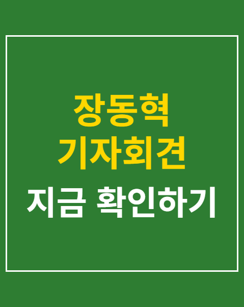 장동혁 기자회견