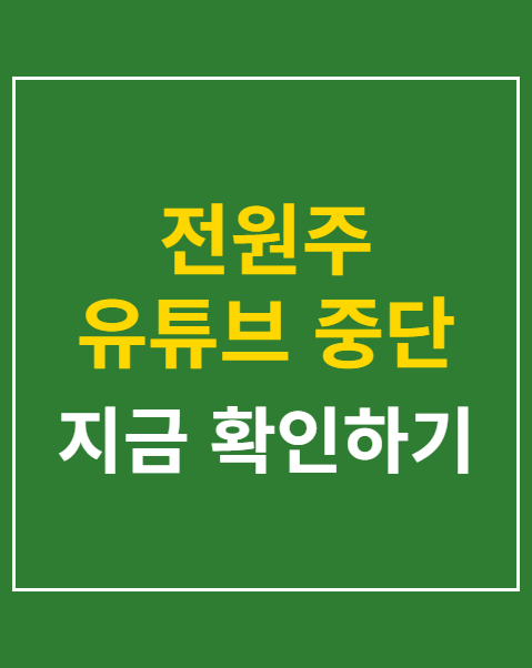 전원주 유튜브 중단