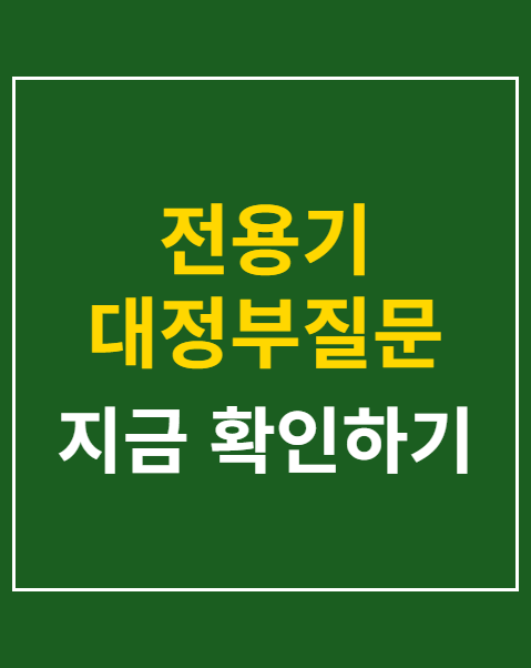 전용기 대정부질문