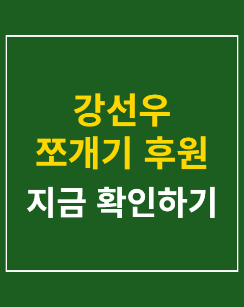 강선우 쪼개기 후원 기소