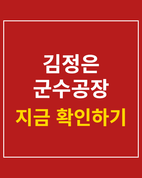 김정은 군수공장 시찰