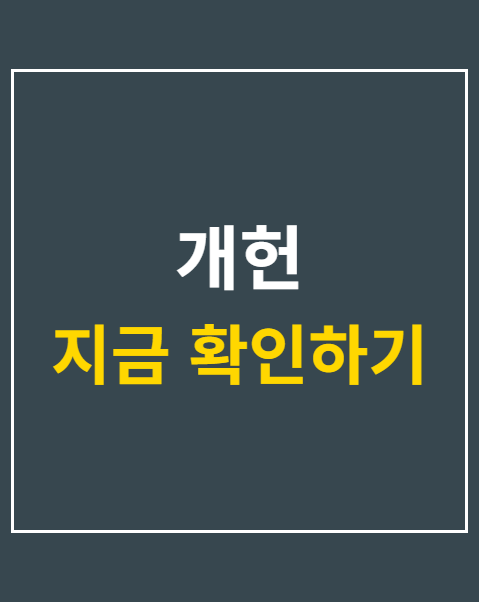 개헌