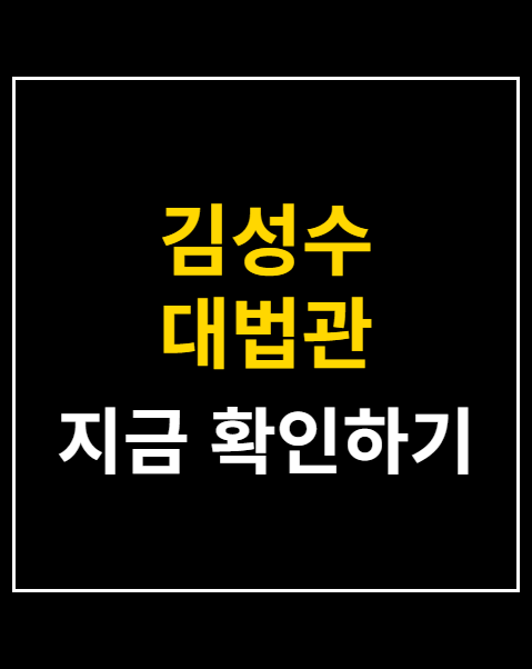 김성수 대법관 청문회