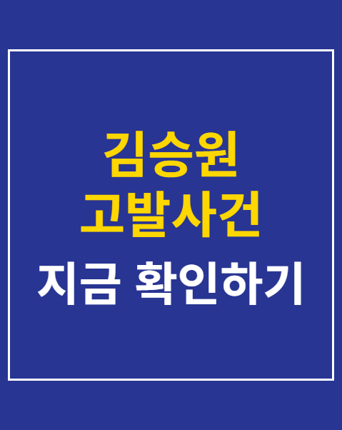김승원 고발사건