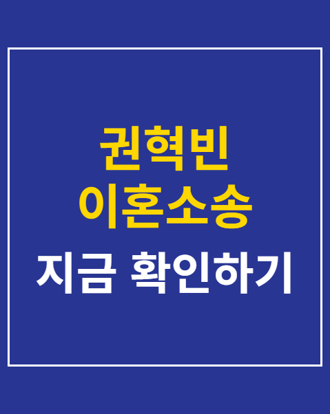 권혁빈 이혼소송 재산분할