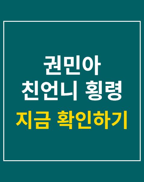 권민아 친언니 횡령