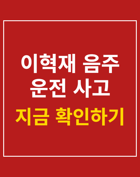 이혁재 음주 운전 사고