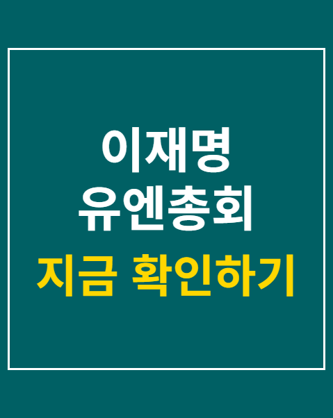 이재명 유엔총회