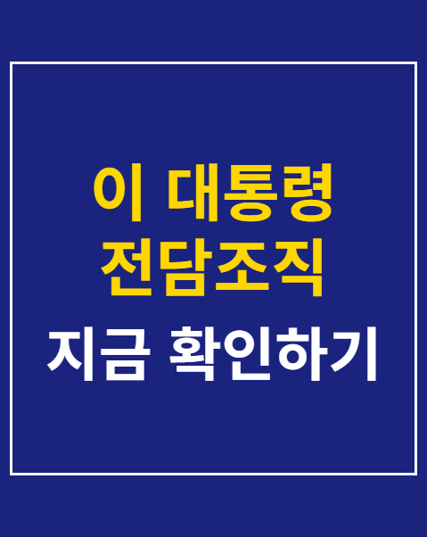 이 대통령 전담조직 신설