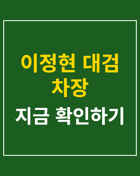 이정현 대검 차장 진상조사