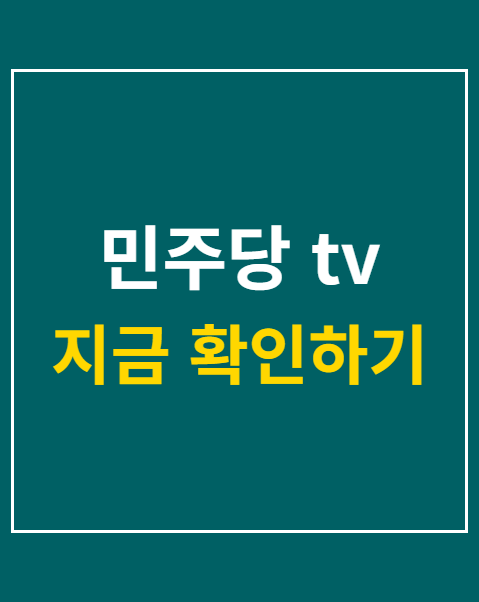 민주당 tv