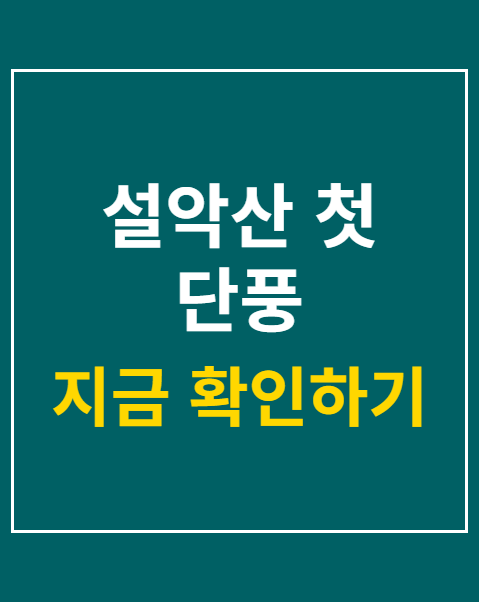 설악산 첫 단풍