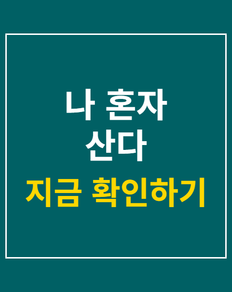 나 혼자 산다
