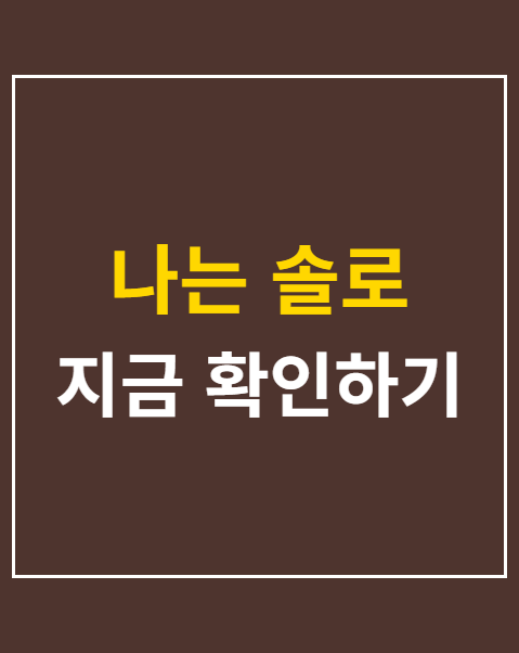 나는 솔로