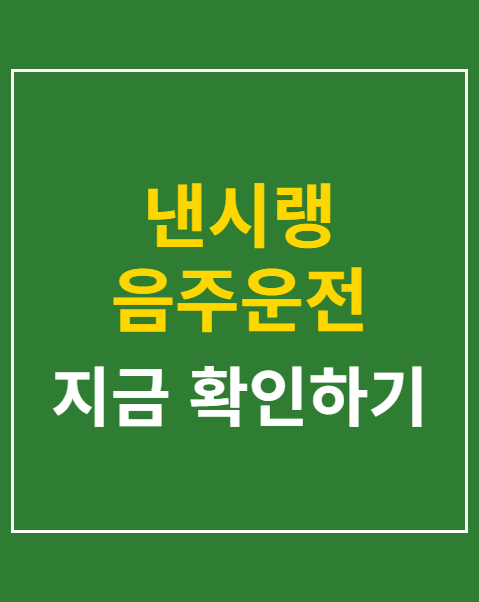 낸시랭 음주운전 입건