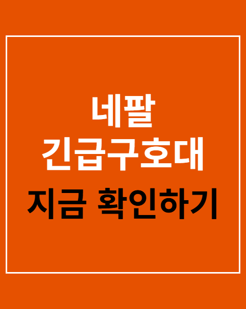 네팔 긴급구호대 귀국