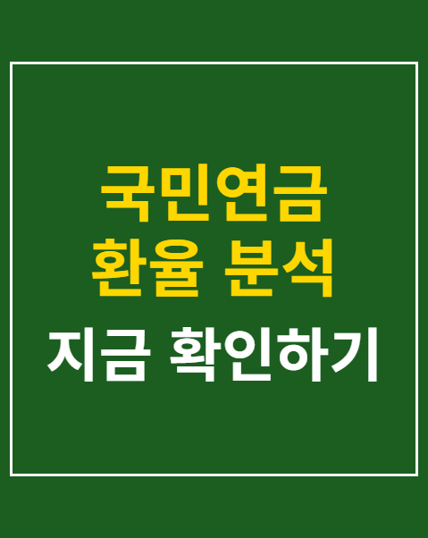 국민연금 환율 분석