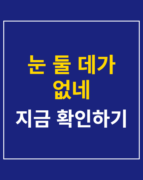 눈 둘 데가 없네