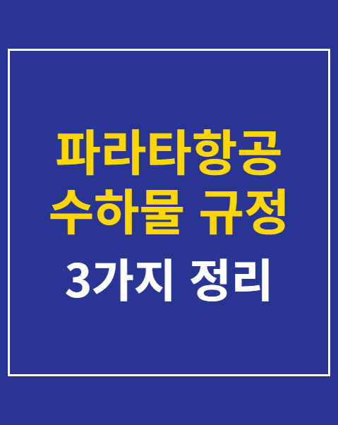 파라타항공 수하물 규정