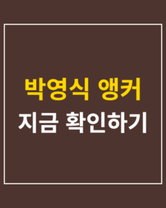 park young sik anchor 01 thumbnail
