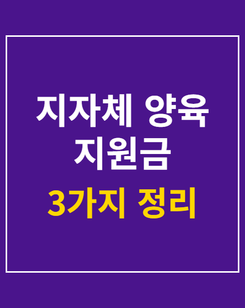 지자체 양육 지원금 지급일 조회