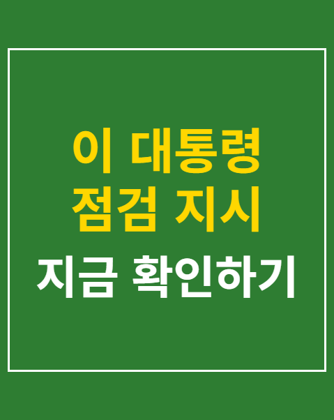 이 대통령 점검 지시