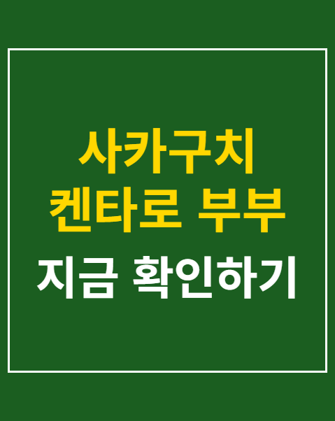 사카구치 켄타로 부부 싸움