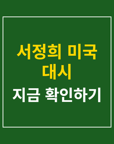 서정희 미국 대시
