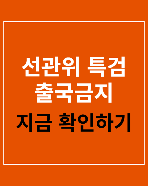 선관위 특검 출국금지