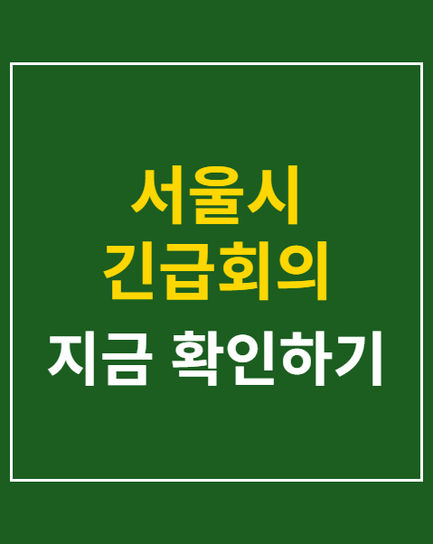 서울시 긴급회의