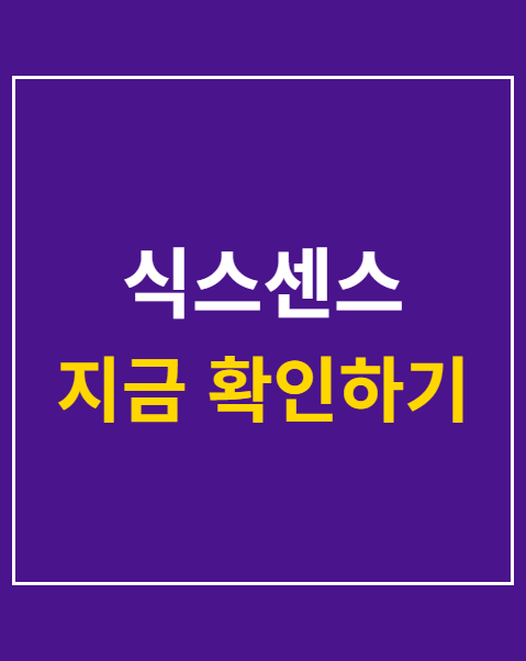 식스센스