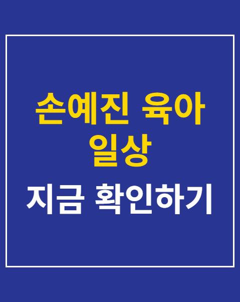 손예진 육아 일상