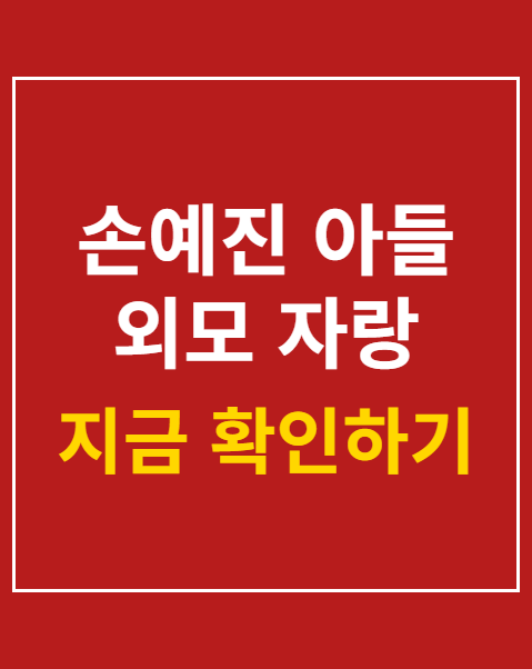 손예진 아들 외모 자랑 후회